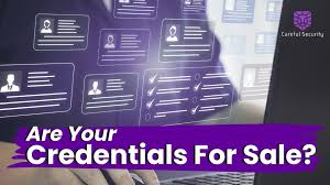Credentials for Sale: Understanding the Threat Posed by Shops like Bclub