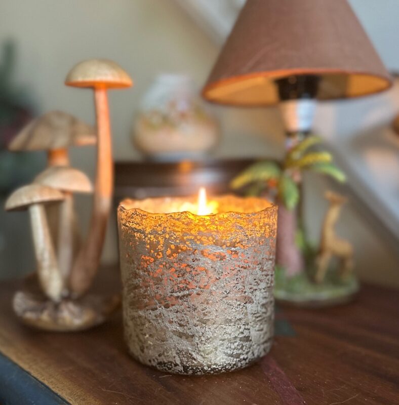 Art Of Candle Crafting: What Sets Double Wick Scented Candles Apart