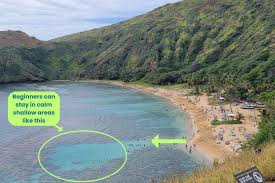 Do You Need to Book Hanauma Bay Tickets in Advance?